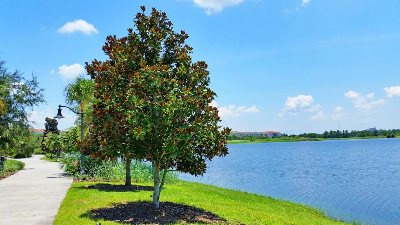 Beautiful Pet Friendly Condo Near Pool Orlando Exterior foto